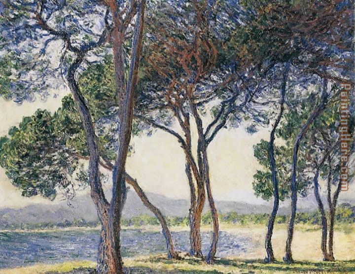 Trees by the Seashore at Antibes painting - Claude Monet Trees by the Seashore at Antibes art painting